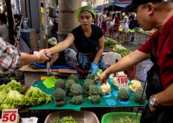Rising Fuel costs overshadowing agenda for ASEAN summit in the Philippines | ASEAN