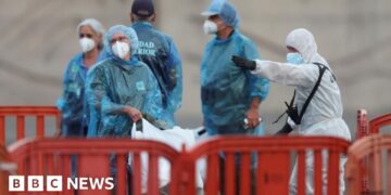 US and French nationals test positive for hantavirus after leaving ship