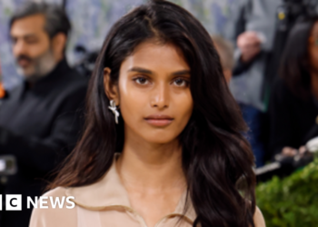 Indian model's understated Met Gala debut revives debate on cultural representation