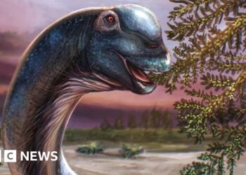 Giant new dinosaur identified from fossils in Thailand