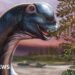 Giant new dinosaur identified from fossils in Thailand