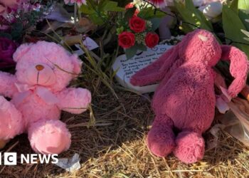 Child protection workers stood down after alleged murder of Australian girl