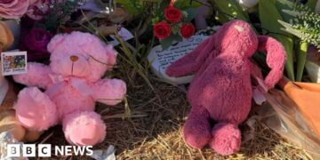 Child protection workers stood down after alleged murder of Australian girl