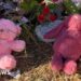 Child protection workers stood down after alleged murder of Australian girl